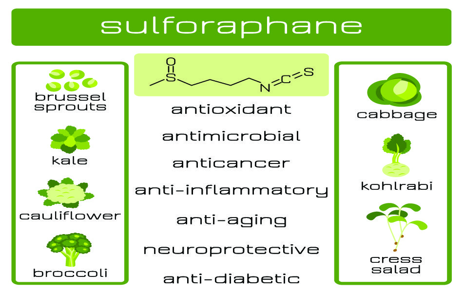 Sulforaphane As a Superfood